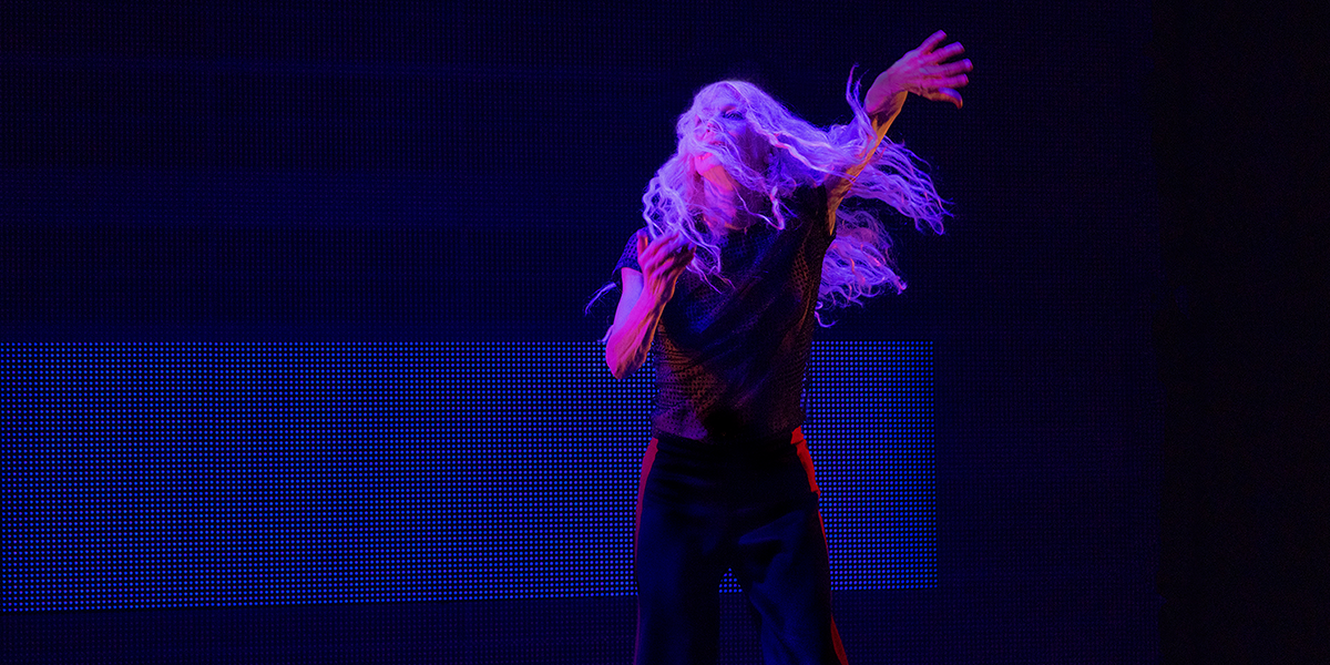 <mark>DANSE</mark>S VAGABONDES